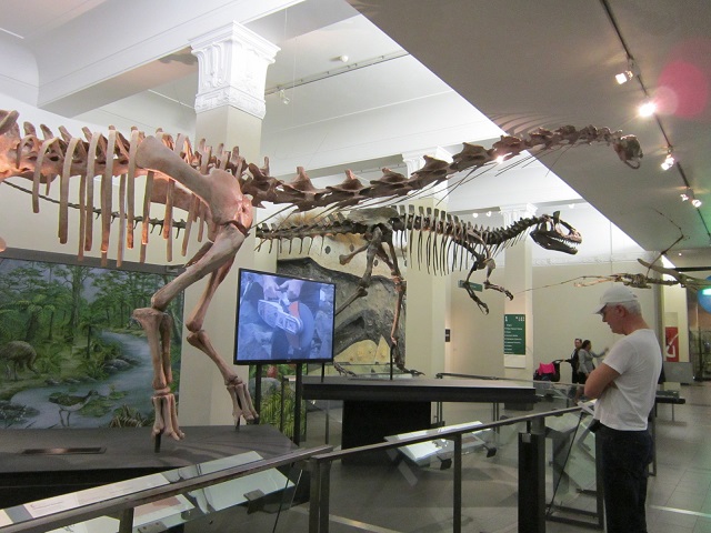 Skelet van een Dinosaurus
